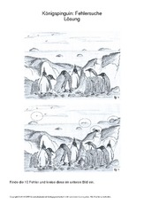 024 pinguin fehlersuche 10 lösung.pdf